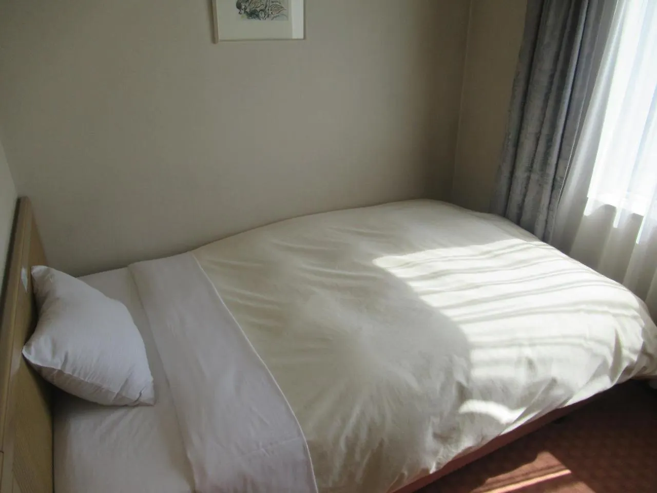 Hotel Grand Terrace Chitose Chitose